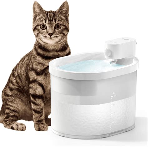 water fountain for cats amazon